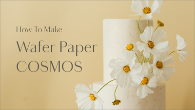 FREE Workshop: How to make Wafer Paper Cosmos