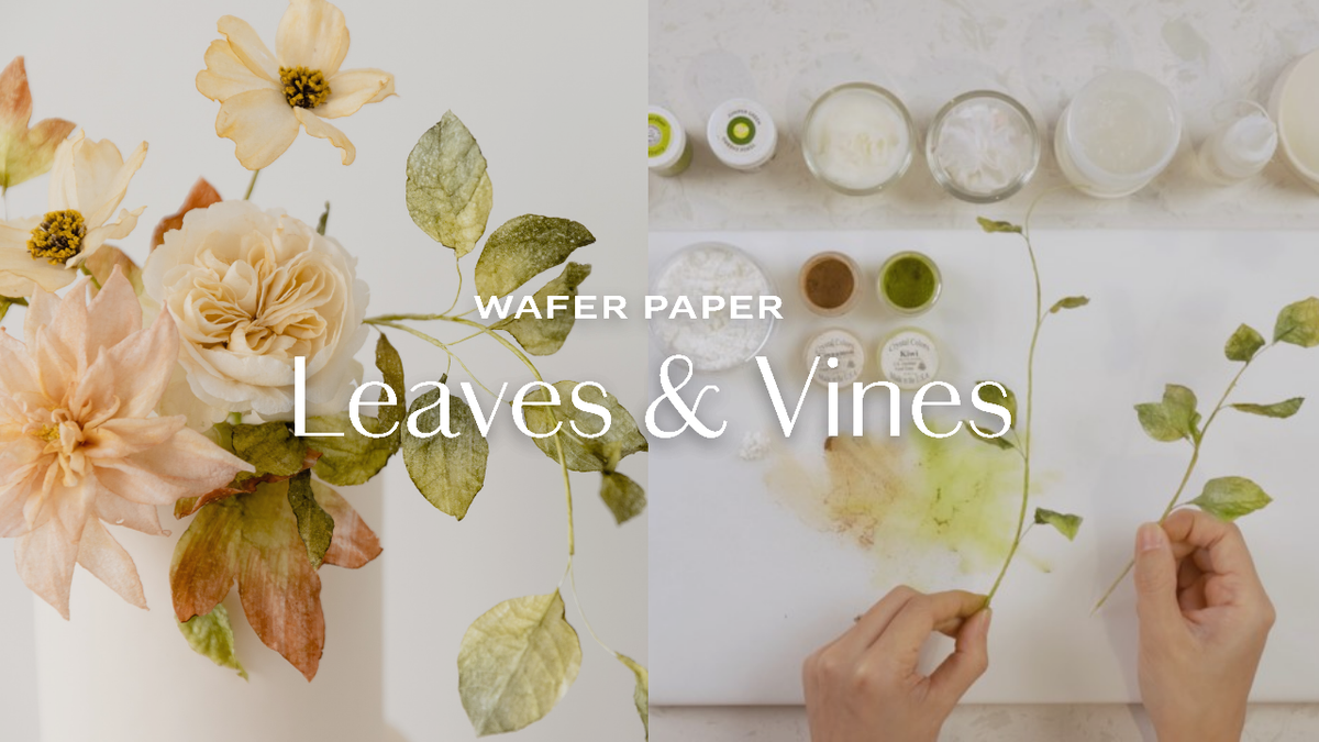 Wafer Paper Rose Leaves SVG Template – Winifred Kristé Cake & Classes