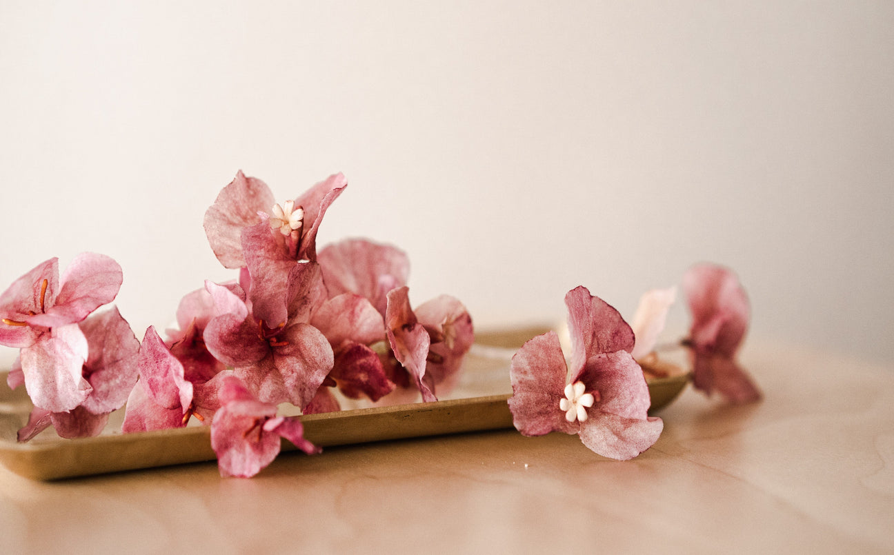 How to Make Edible Flowers with Wafer Paper or Rice Paper?