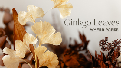 How to make Wafer Paper Ginkgo Leaves