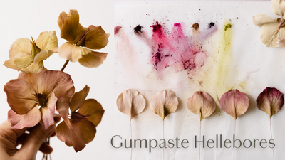 How to make gumpaste Hellebores (Winter Roses)
