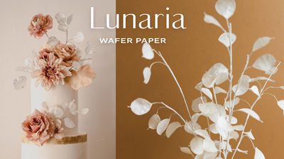 How to make Wafer Paper Lunaria (Silver Dollar Plant)